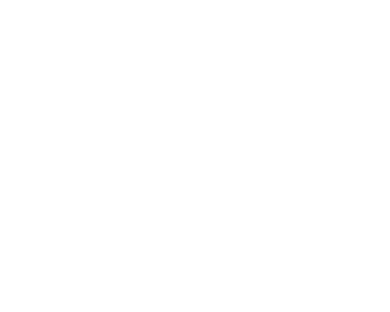 Boost Leads Logo